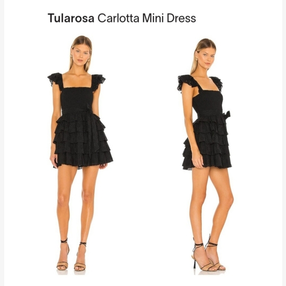 Tularosa Carlotta Mini Dress - Picture 1 of 8
